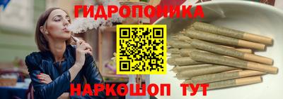 прущие крисы Гай