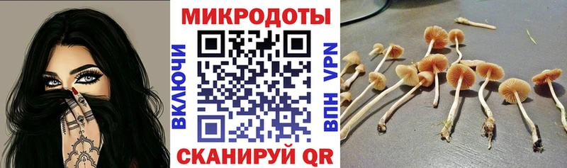 даркнет сайт Апатиты Псилоцибиновые грибы Psilocybe