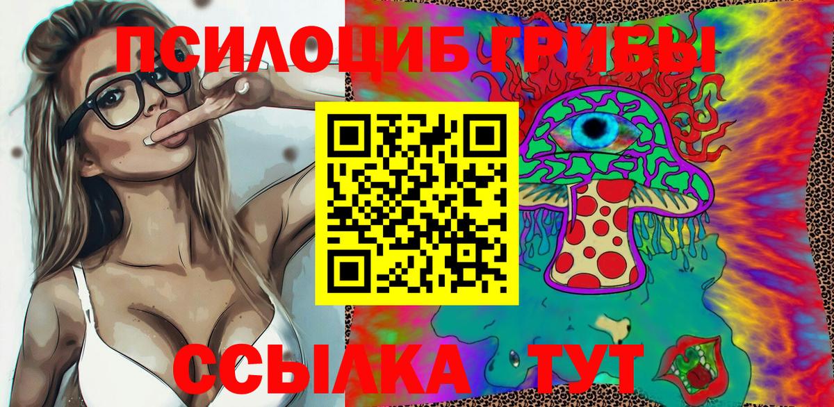 где купить наркоту  Псилоцибиновые грибы мухоморы  Апатиты  Псилоцибиновые грибы Psilocybine cubensis 