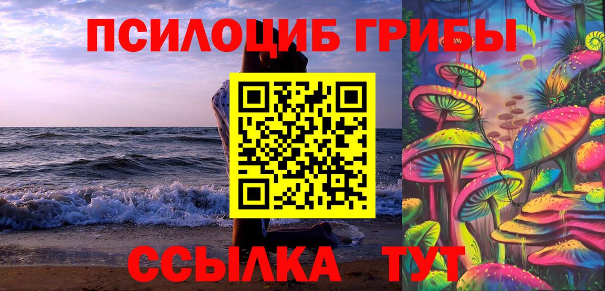 Галлюциногенные грибы Cubensis Апатиты