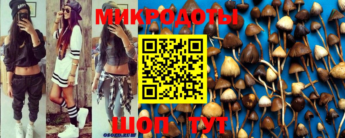 Псилоцибиновые грибы Magic Shrooms Апатиты