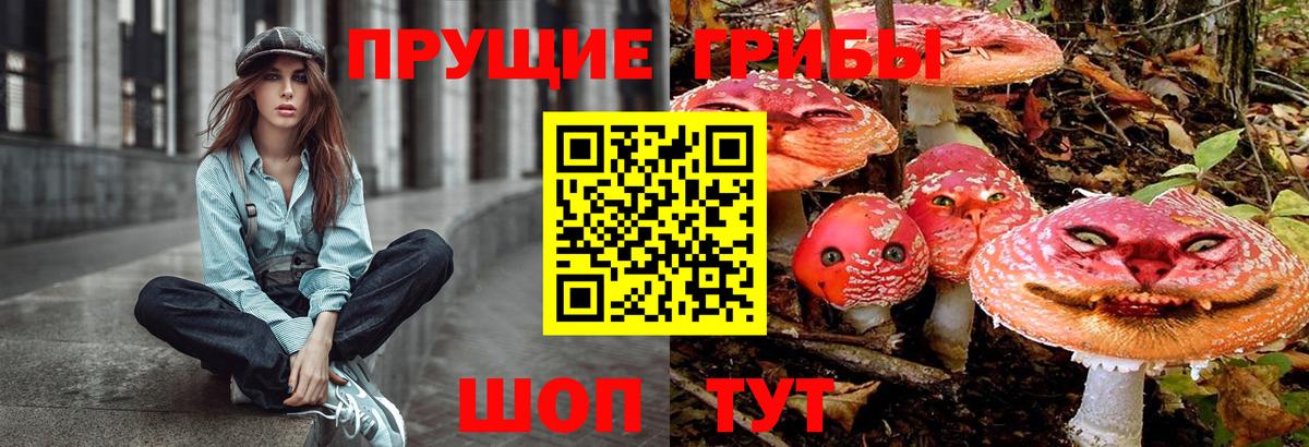Галлюциногенные грибы MAGIC MUSHROOMS  Вход с VPN  Апатиты 